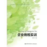 诺森企业纳税实训梁伟样主编9787565427374东北财经大学出版社