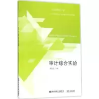 诺森审计综合实验戚振东主编9787565429439东北财经大学出版社
