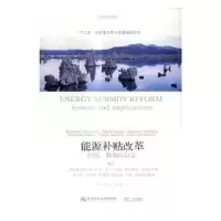 诺森能源补贴改革:经验、教训与启示:lessons and implications