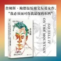 诺森去山巅呼喊〔美〕詹姆斯·鲍德温9787020177158人民文学出版社