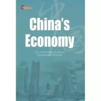 诺森中国经济吴伟主编9787508513041五洲传播出版社