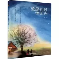 诺森流星划过悄无声文馨著9787517141150中国言实出版社