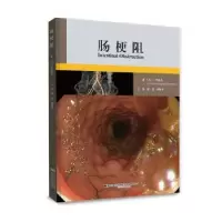 诺森肠梗阻(日)三毛牧夫著97875591251辽宁科学技术出版社