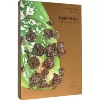 诺森农畜矿产品加工周嘉华[等]著9787534783470大象出版社