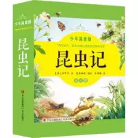 诺森昆虫记(少年简读版)(法)法布尔著9787573600929青岛出版社