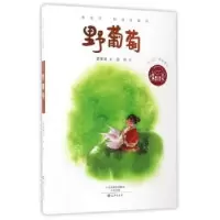 诺森野葡萄葛翠琳著9787535069559海燕出版社
