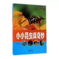 诺森小小昆虫真奇妙李吉奎编著9787553315454南京出版社