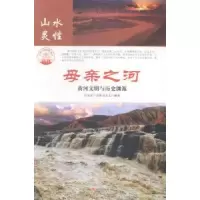 诺森母亲之河:河文与历史渊源肖东发主编9787514382现代出版社
