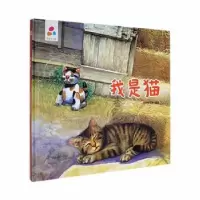 诺森我是猫经纬童书馆编绘9787559083746新疆青少年出版社