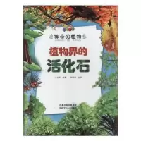 诺森植物界的活化石王志勇编著9787559521248河北少年儿童出版社