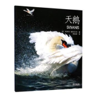 诺森天鹅(美)妮科尔·赫尔吉特著9787533949792浙江文艺出版社