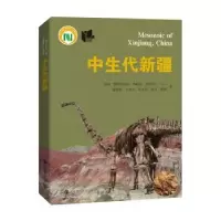 诺森中生代新疆孙革[等]著9787542878496上海科技教育出版社