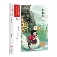 诺森野葡萄/中儿童文学葛翠琳著97875455609天地出版社
