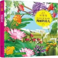 诺森绚丽的花儿童心编绘97871201277化学工业出版社
