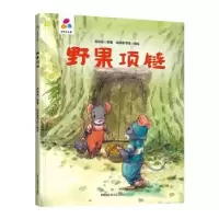 诺森野果项链赵冰波原著9787559078155新疆青少年出版社