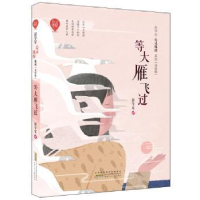 诺森等大雁飞过彭学军著9787570701667安徽少年儿童出版社