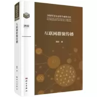 诺森互联网群聚传播隋岩著9787030755520科学出版社