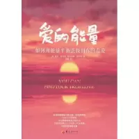 诺森爱的能量:如何用能量平衡法找到你的真爱