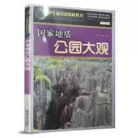 诺森地质公园大观王宇编著9787563447015延边大学出版社