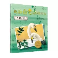 诺森天鹅之歌(意)萨拜娜·科洛雷多文9787540596187