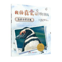 诺森怕游泳的企鹅(意)萨拜娜·科洛雷多文9787540589899