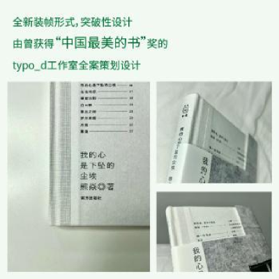 诺森我的心是下坠的尘埃熊焱著9787550182981南方出版社
