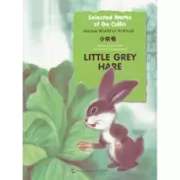 诺森小灰兔葛翠琳[著]9787508525501五洲传播出版社
