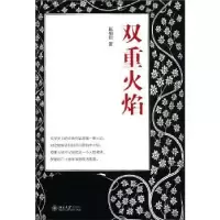 诺森双重火焰赵柏田著9787301199053北京大学出版社