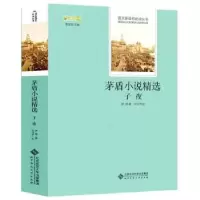 诺森茅盾小说精选《子夜》茅盾著9787303494北京师范大学出版社