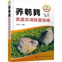 诺森养鹌鹑家庭农场致富指南肖冠华编著9787122457化学工业出版社