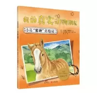 诺森小马“蜜糖”历险记(意)萨拜娜·科洛雷多文9787540596132