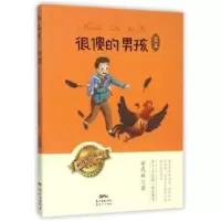 诺森很傻的男孩:美文安武林著9787540596798