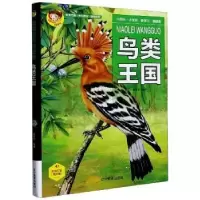 诺森鸟类王国段依萍编著9787531488224辽宁美术出版社