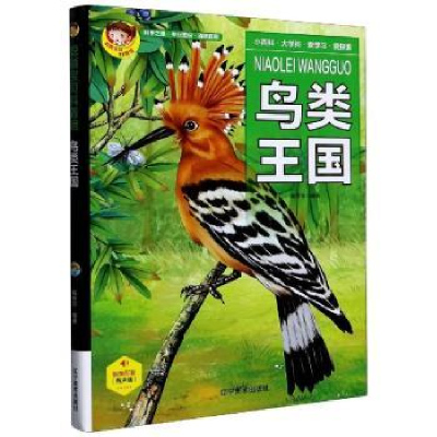 诺森鸟类王国段依萍编著9787531488224辽宁美术出版社