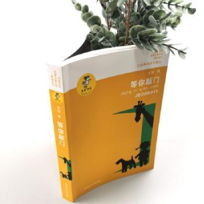 诺森等你敲门金波著9787534654305江苏凤凰少年儿童出版社