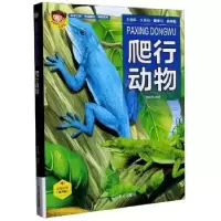 诺森爬行动物段依萍编著9787531488217辽宁美术出版社