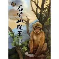 诺森石宝山猴王杨保中著9787550505780大连出版社