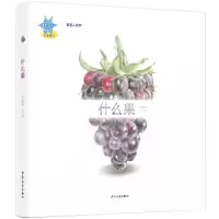 诺森什么果梁惠然文/图9787558907302少年儿童出版社