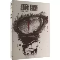 诺森暗瞳赵小赵著9787549287420长江出版社