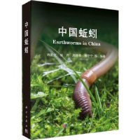 诺森中国蚯蚓肖能文[等]编著9787030740519科学出版社