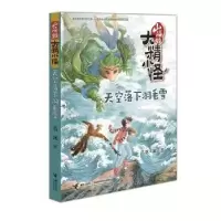 诺森天空落下羽毛雪葛冰著9787544853309接力出版社