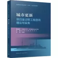 诺森城市更新项目全过程工程咨询理论与实务
