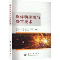 诺森探测与处置技术高振儒[等]编著9787118129366国防工业出版社
