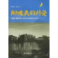 诺森阳坡头的月亮赖小瑜,金文彦著9787512636040团结出版社