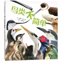 诺森鸟类不简单黄一峰文9787221141958贵州人民出版社