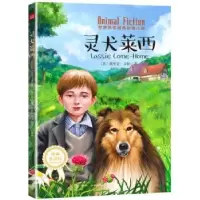 诺森灵犬莱西(美)埃里克·奈特著9787545543377天地出版社