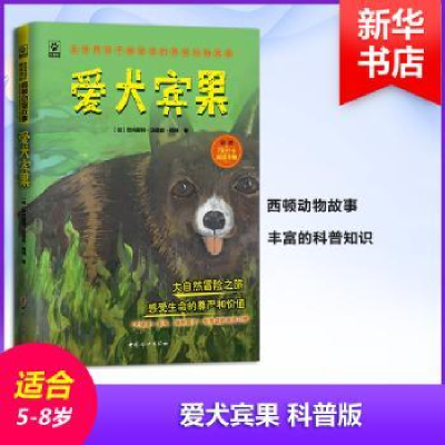 诺森爱犬宾果(加)欧内斯特·西顿著9787512716162中国妇女出版社