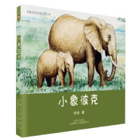 诺森小象彼克雨街著9787532166312上海文艺出版社