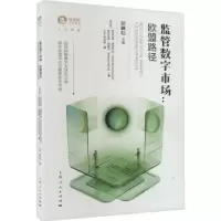 诺森监管数字市场:欧盟路径:the European approach
