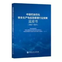 诺森中国石油石化安全生产与应急管理行业发展蓝皮书(2022-20)